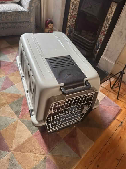 Photo of free Dog box (Stoke Newington N16) #1
