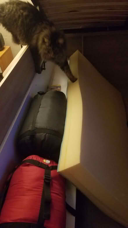 Photo of free Double Cabin Bed (Carnforth LA5) #3