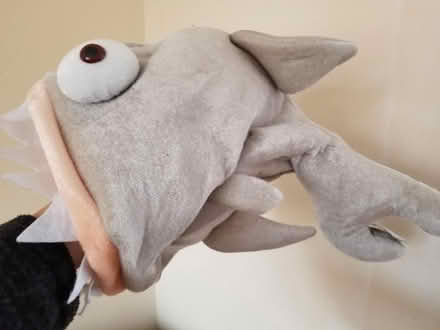 Photo of free Piranha hat fancy dress novelty (Gloucester) #2