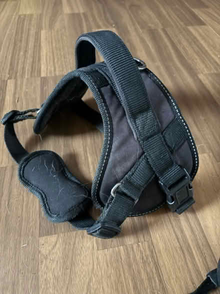 Photo of free Flexi leash + harness (Birley moor S12) #3