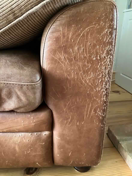 Photo of free 2 Brown leather sofas (Westleton IP17) #4