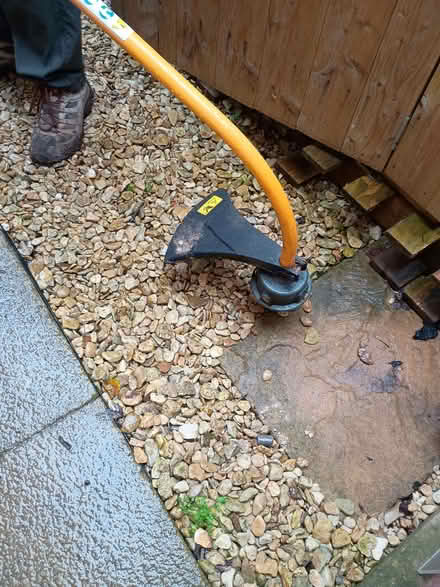 Photo of free Ryobi petrol strimmer (Standish GL10) #1