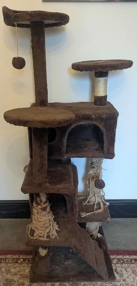 Photo of free Cat tree tower (Asby CA14) #2