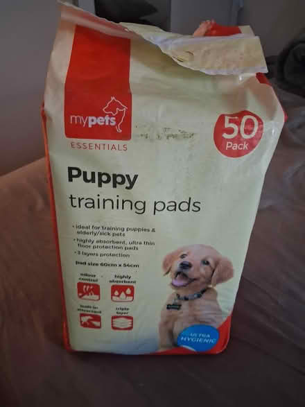 Photo of free Puppy training pads (CV2) #1