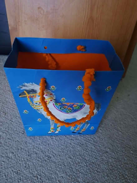 Photo of free Cardboard bag with string handle (Caversham RG4) #1