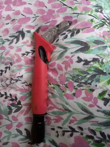 Photo of free Thingy to help get out car (Sedlescombe) #1