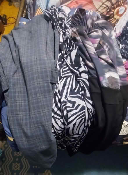 Photo of free Women's clothing sizes M-XL (Etobicoke/Mississauga border) #3