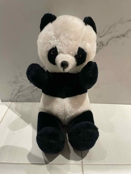 Photo of free Tall panda plush (Kennedy/16th in Markham) #1