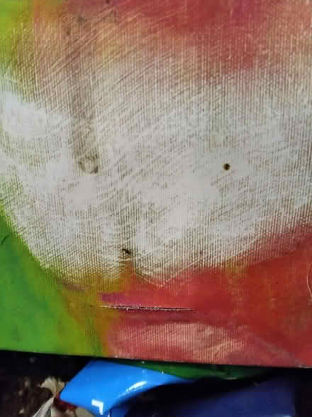 Photo of free Einstein painting (not very big) (48238) #3