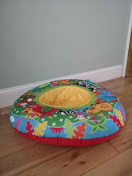 Photo of free Galt Baby Playnest (Bristol BS15) #3