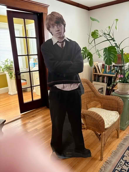 Photo of free Full size Ron Weasley (Newton Center) #1