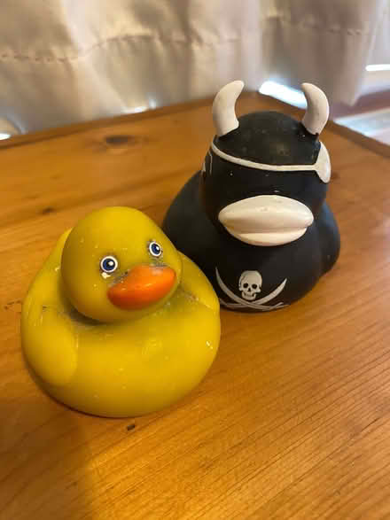 Photo of free two ducks, one yellow, one black with horns and skull (Broadwater BN14) #1