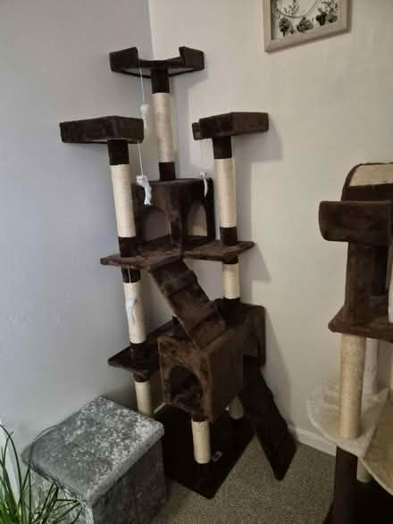 Photo of free Cat towers and large scratch post (Drayton PO6) #2