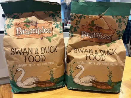 Photo of free Swan and duck food (Up Hatherley GL51) #1