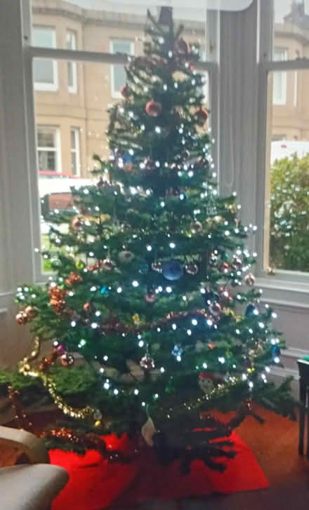 Photo of free Christmas Tree (Artifical) (Leith EH6) #1