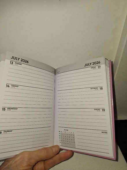 Photo of free 2026 cat diary (Malvern Link WR14) #2