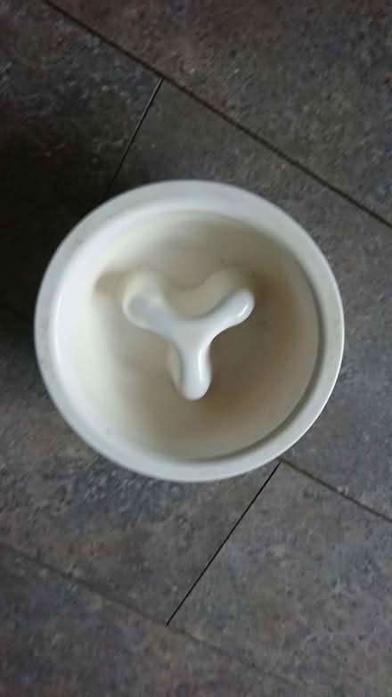 Photo of free Slow feeding bowl for a dog (AB41) #1