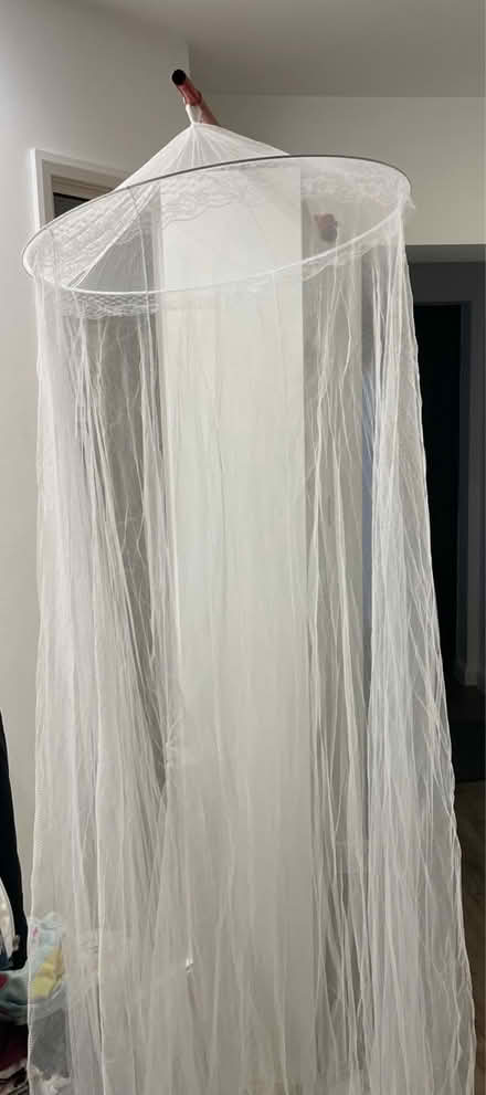 Photo of free Hanging mosquito net (Bramhall SK7) #1