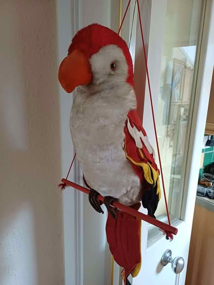 Photo of free Parrot/Macaw novelty hanging toy (Cutteslowe OX2) #1