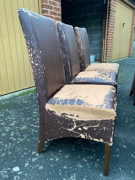 Photo of free 6 dining chairs (Bromley) #4