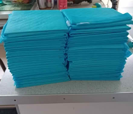 Photo of free Puppy training pads (Egremont CA22) #1