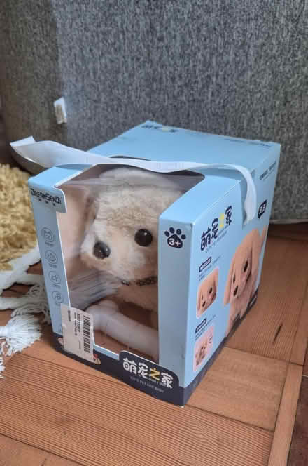 Photo of free Toy dog (Heath, CF14) #2