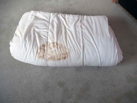 Photo of free Old Duvet - for Pets? (Llandrindod LD1) #2