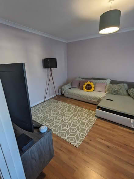 Photo of free Green /white rug large (Oxford OX2) #1