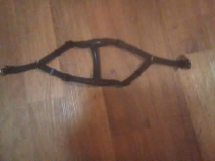 Photo of Harness for puppy chihuahua (Killamarsh S21) #1