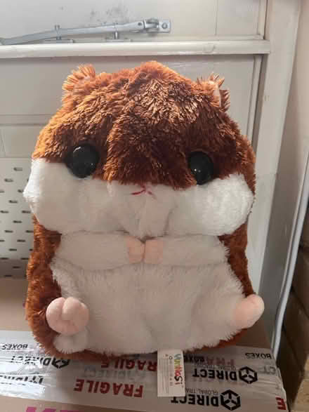 Photo of free Hamster plushy toy chunky (TW1) #1
