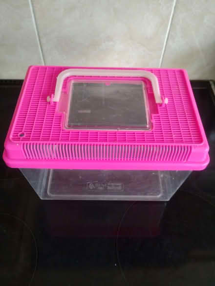 Photo of free Small Plastic Fish Tank (Amersham HP7) #1