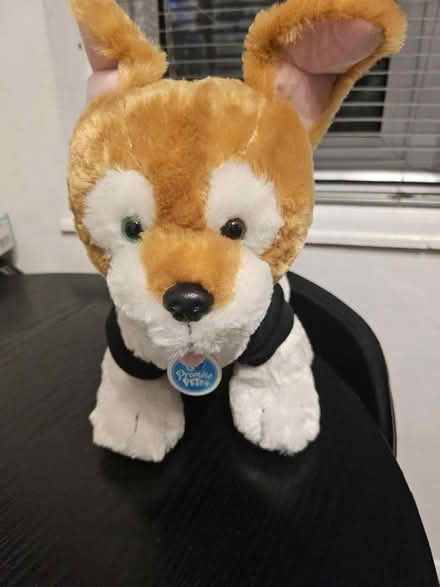 Photo of free Build a bear (Northfleet da11) #1