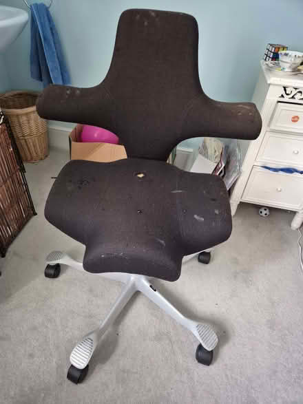 Photo of free Office chair (Bear Flat) #2