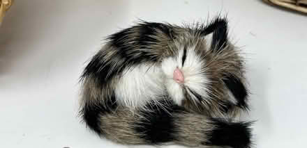 Photo of Small decorative kitten (AL4, St albans) #1