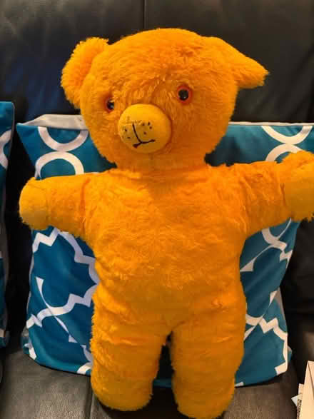 Photo of free Teddy (Westbury Wilts BA13) #1