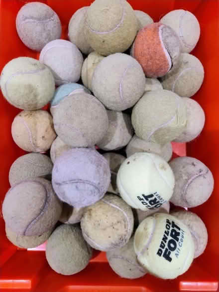 Photo of free Tennis balls (Eastcombe GL6) #1
