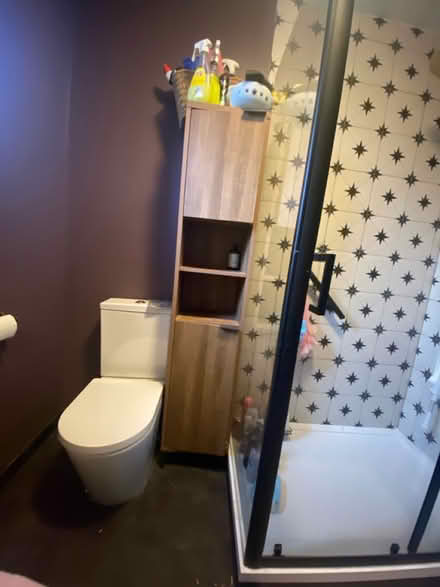 Photo of free Bathroom tall boy cabinet (Gorton M18) #1