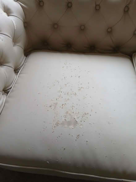 Photo of free Leather sofa and fabrict chair (GU12) #3