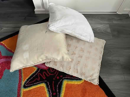 Photo of free Sleeping bag and cushions (Abingdon OX14) #2