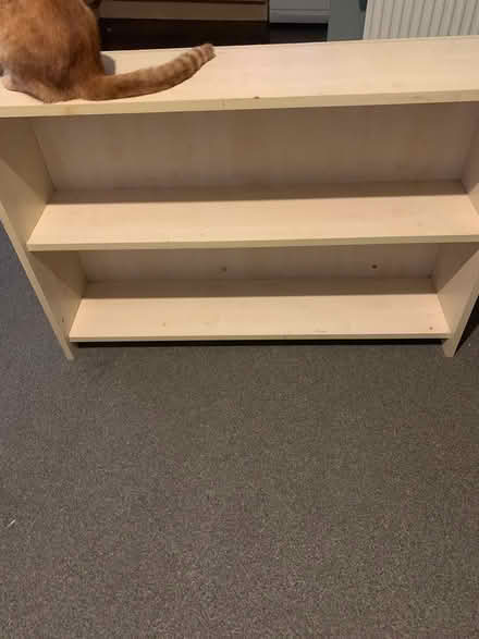 Photo of free 2 Shelves (Tonbridge) #1