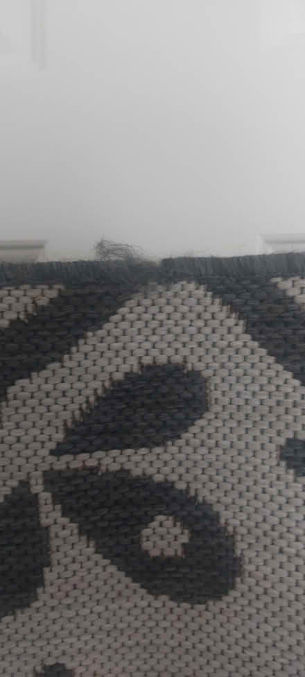 Photo of free Rug (Abingdon OX14) #2