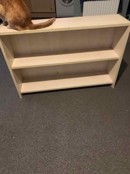 Photo of free 2 Shelves (Tonbridge) #2