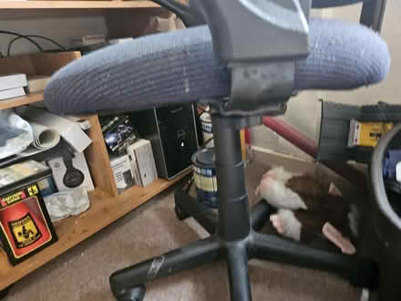 Photo of free Computer Chair (Smiths Estate OX28) #4
