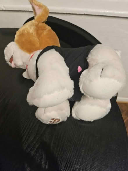 Photo of free Build a bear (Northfleet da11) #2