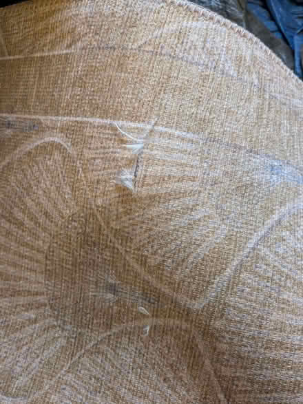 Photo of free Green Area Rug (Formby L37) #2