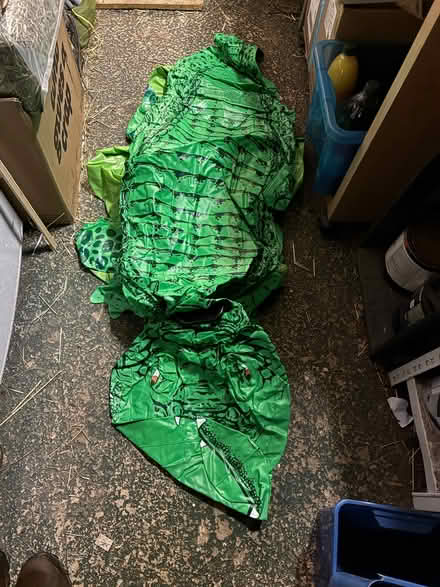 Photo of free 9 Large Pool Inflatables (Chippenham SN15) #2