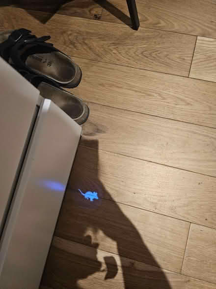 Photo of free Laser pointer cat toy (Oval Quarter SW9) #2