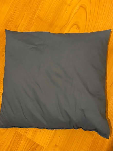 Photo of free Freshly washed pet’s bean bag cushion and covers (Brookfield PR2) #1