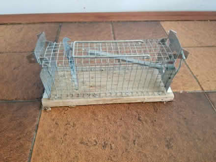 Photo of free Metal mousetrap (Gloucester) #1