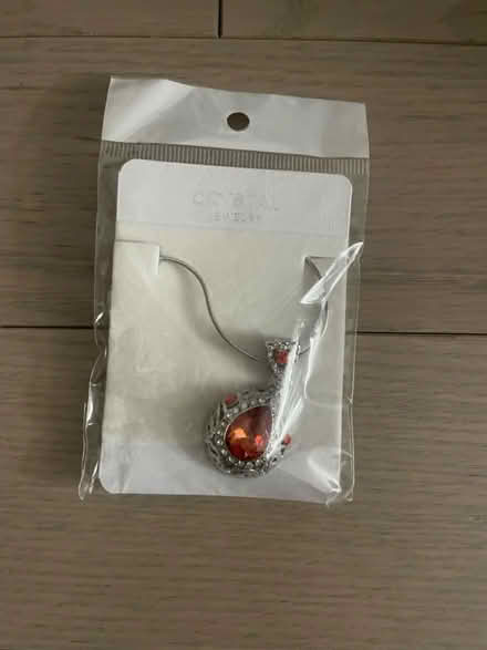 Photo of free Necklace (costume jewelry) (Kennedy/16th in Markham) #1